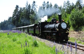 ProduktDampfNostalgieLitschau(c)NÖVOG_knipserl.at, © NÖVOG/knipserl.at Dampfzug der Waldviertelbahn