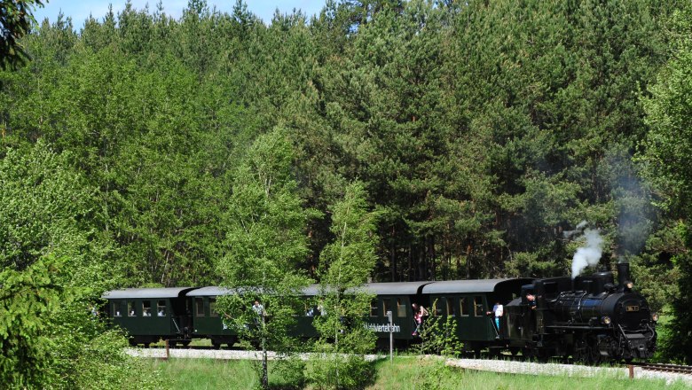 Kennenlerntag, © NÖVOG/knipserl.at Ein historischer Dampfzug fährt durch einen dichten Wald.