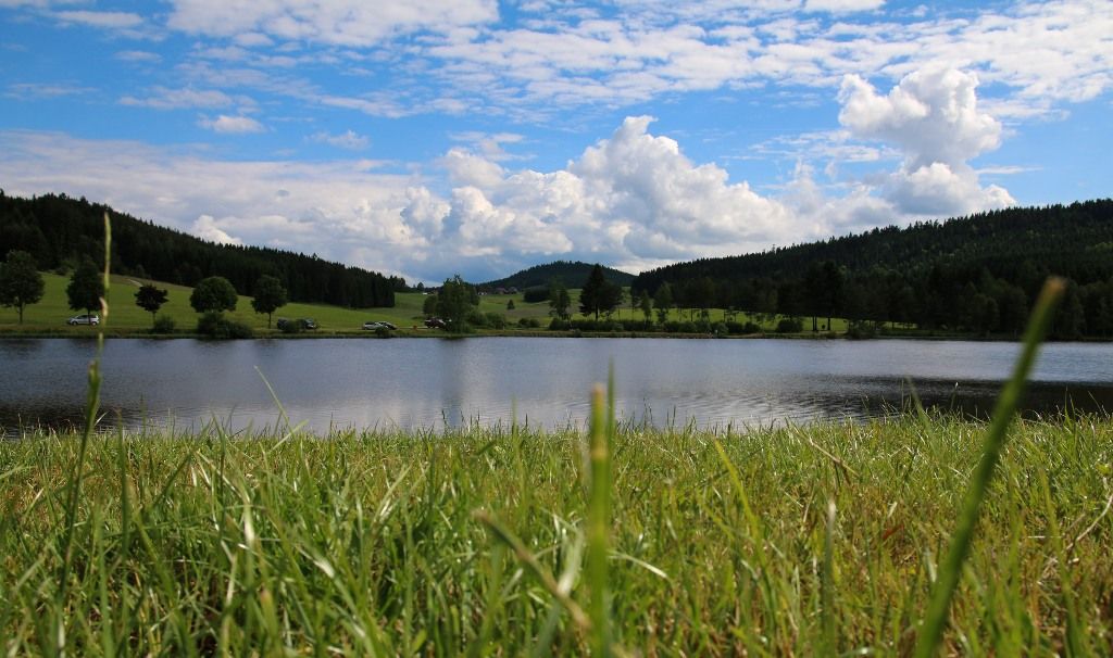 frauenwieserteich-c-broederbauer-qalter25