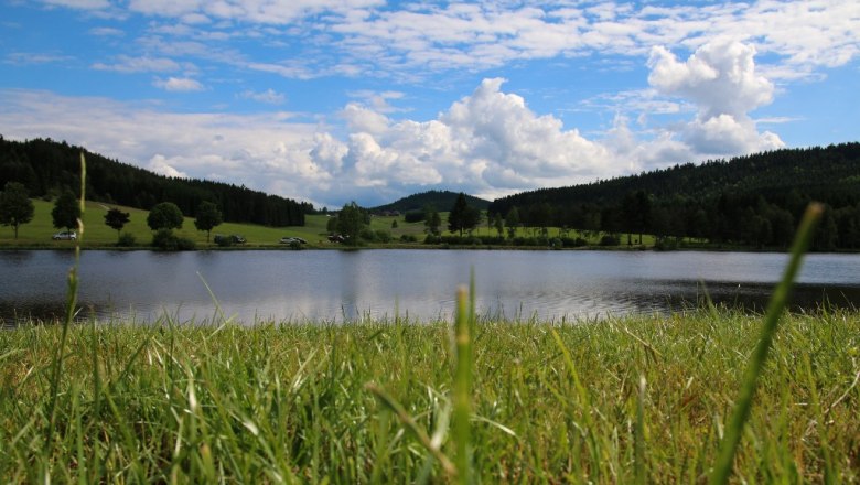 frauenwieserteich-c-broederbauer-qalter25, © Ing. Walter Bröderbauer