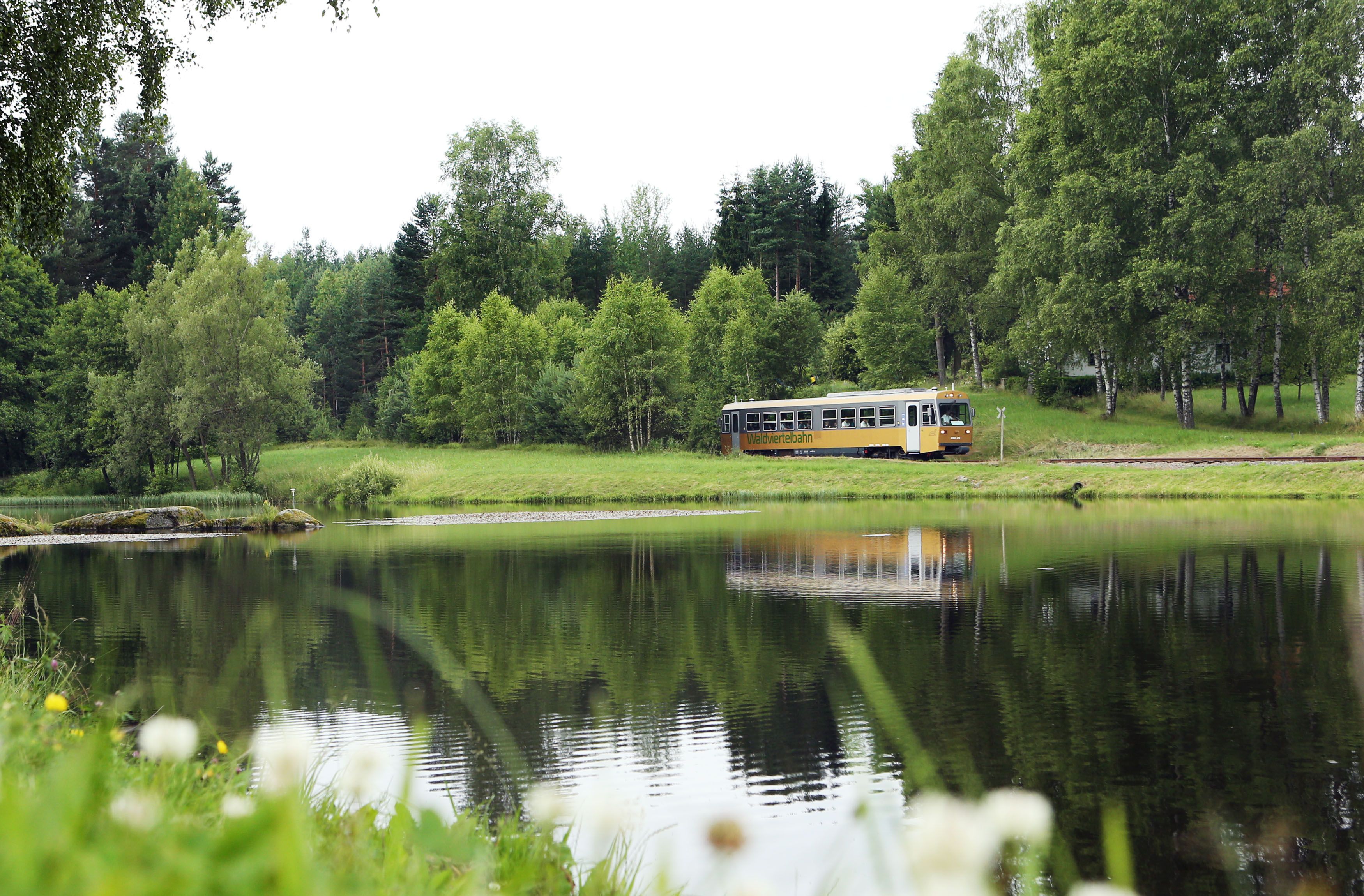 Der Goldene Triebwagen fährt entlang eines Waldviertler Teichs