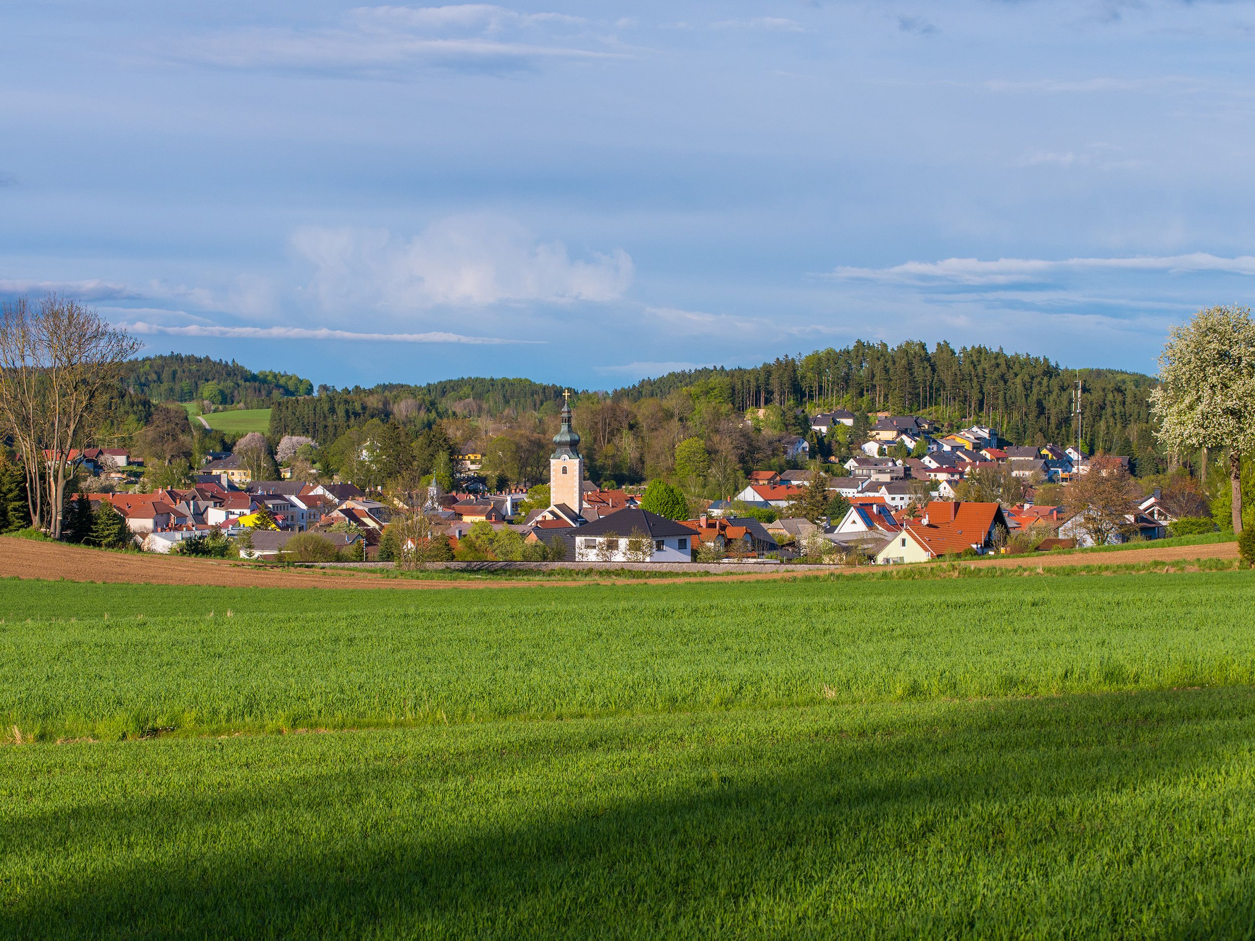 Blick auf Groß Gerungs