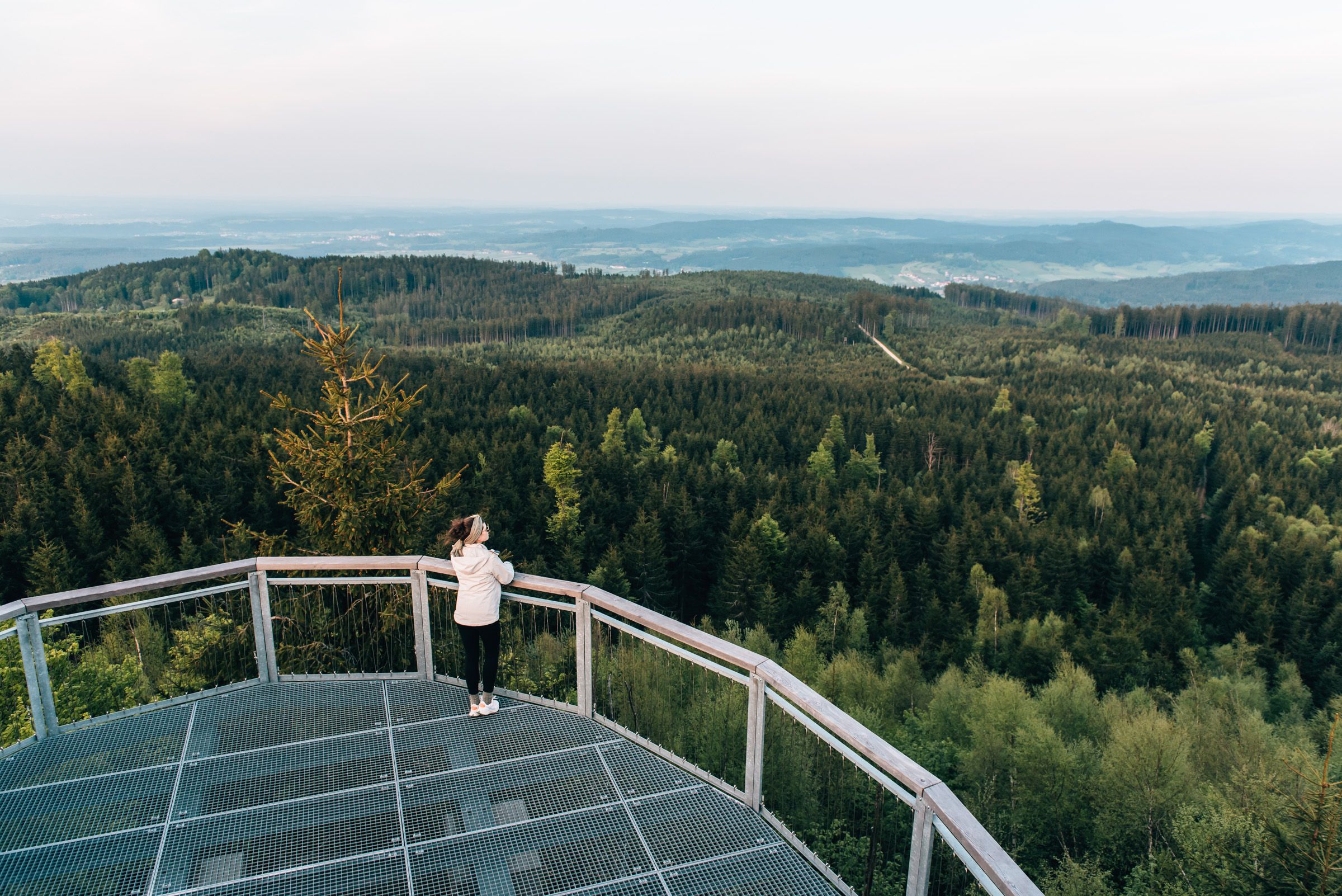 Person auf einer Aussichtsplattform blickt über einen dichten Wald im Waldviertel.