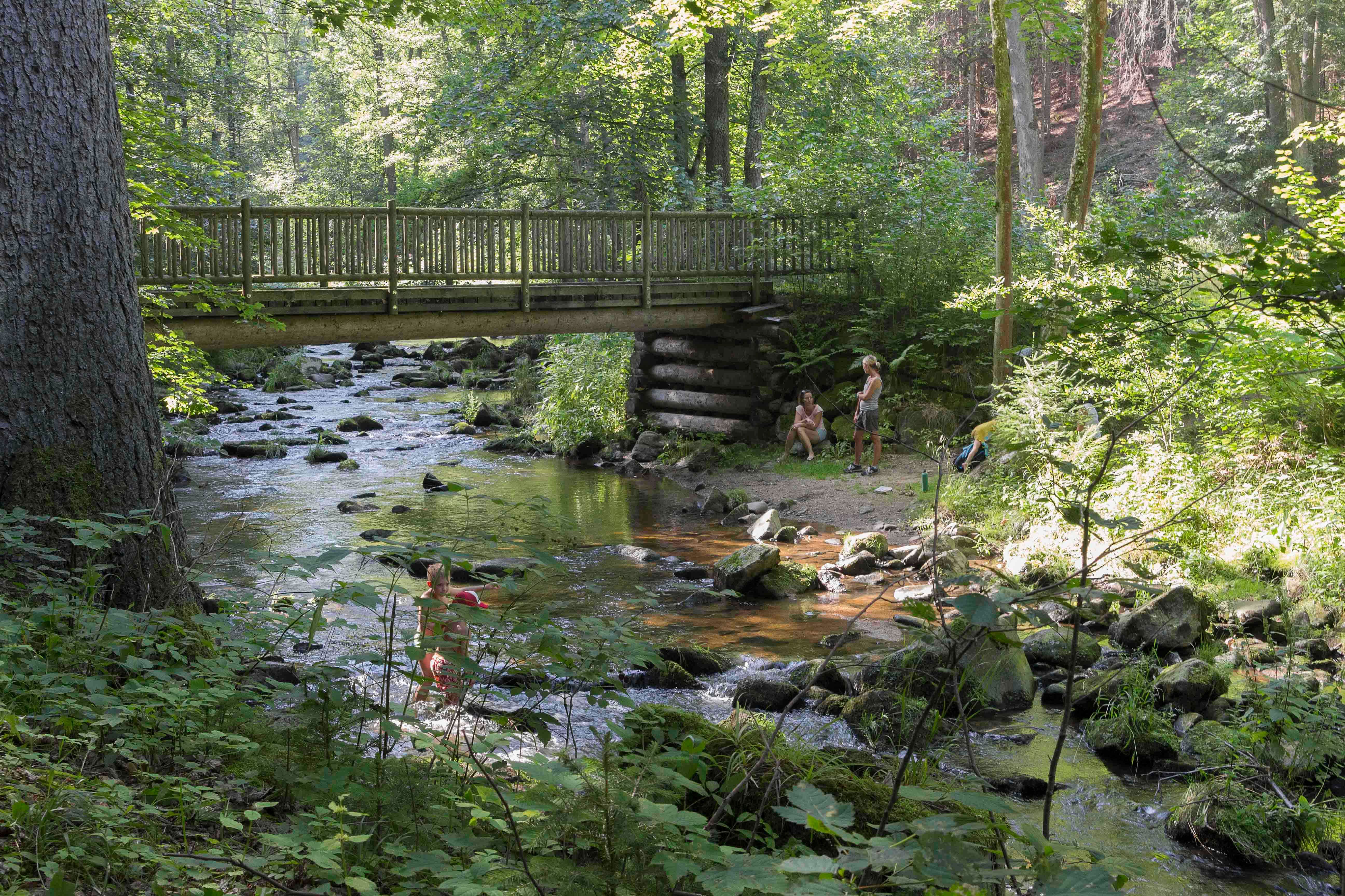 Wanderweg31kk©SabinePreißl (2)