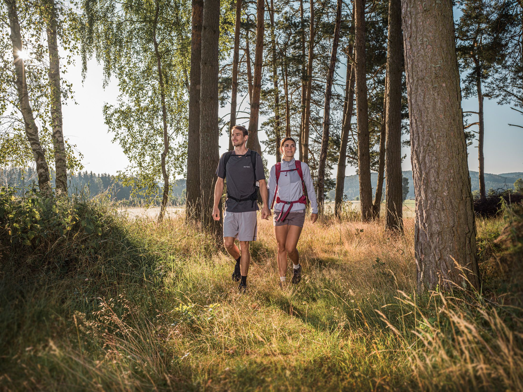 Wandern in Moorbad Harbach