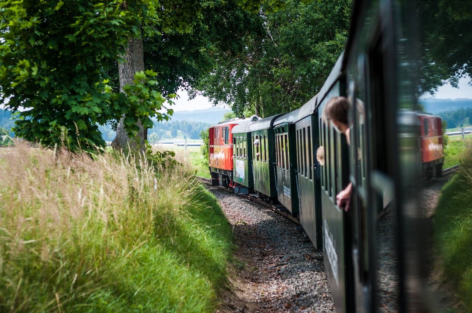 Schmalspurbahn mit roter Lokomotive und grünen Waggons fährt durch eine Kurve. Mehrere Personen blicken aus den Fenstern. Links stehen Bäume und hohes Gras.