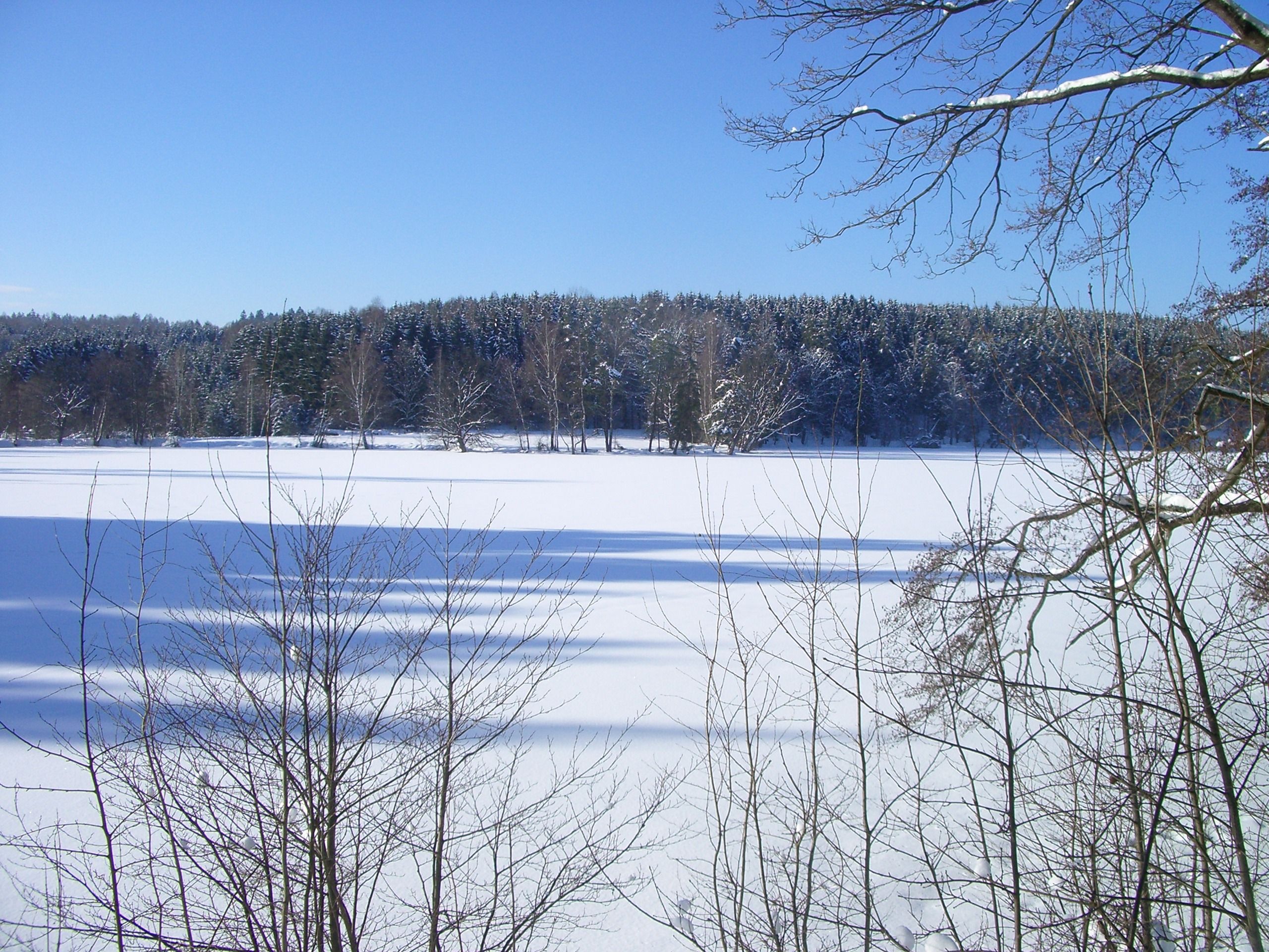 Herrensee im Winter
