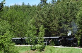 Ein historischer Dampfzug f&auml;hrt durch einen dichten Wald.