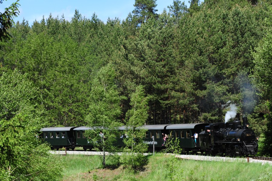 Ein historischer Dampfzug f&auml;hrt durch einen dichten Wald.