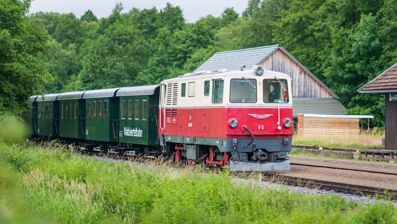 Der Dieselnostalgiezug der Waldviertelbahn fährt an einer saftigen, grünen Wiese vorbei