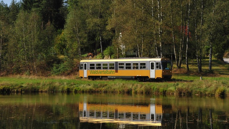 Der golden Dieseltriebwagen führt an einem Teich vorbei.