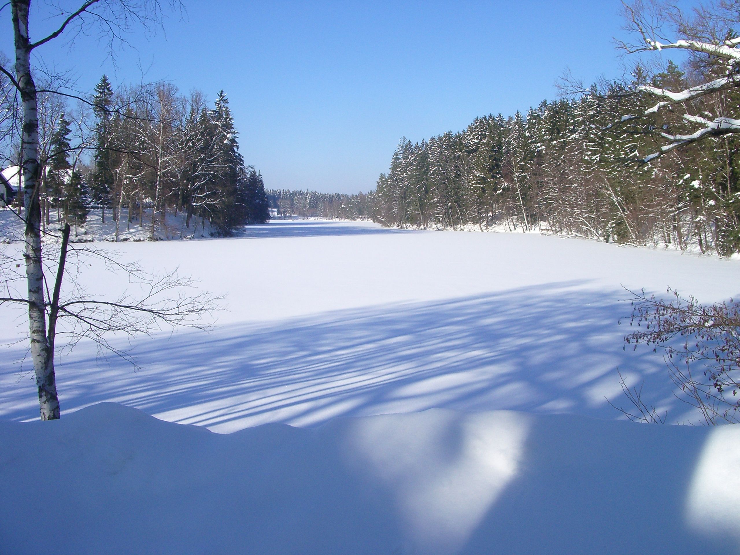 Herrensee im Winter
