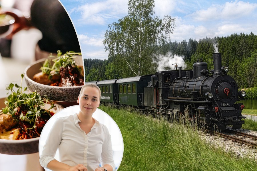 Dampflokomotive mit zwei gr&uuml;nen Waggons f&auml;hrt auf Gleisen durch eine gr&uuml;ne Landschaft mit Wald und Teich im Hintergrund. Daneben sieht man ein k&ouml;stliches Gericht