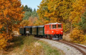 Ein roter Zug f&auml;hrt durch eine herbstliche Landschaft mit bunten B&auml;umen.