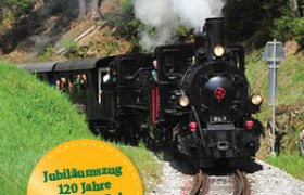 Schwarze Dampflokomotive mit Rauch auf geschwungenen Gleisen, umgeben von Wald und Wiese.