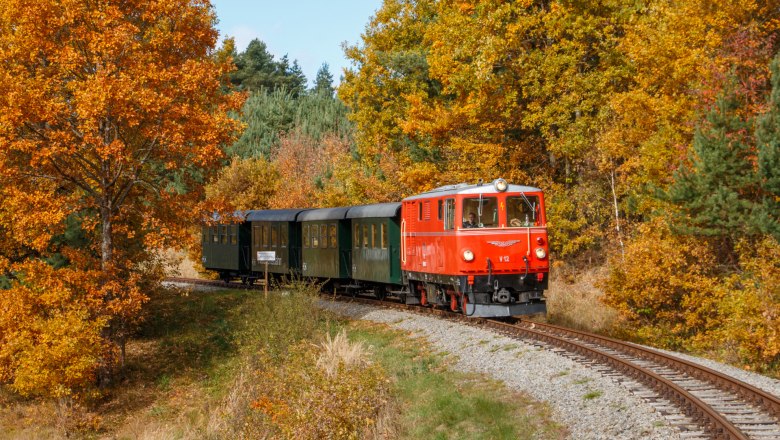 Ein roter Zug f&auml;hrt durch eine herbstliche Landschaft mit bunten B&auml;umen.