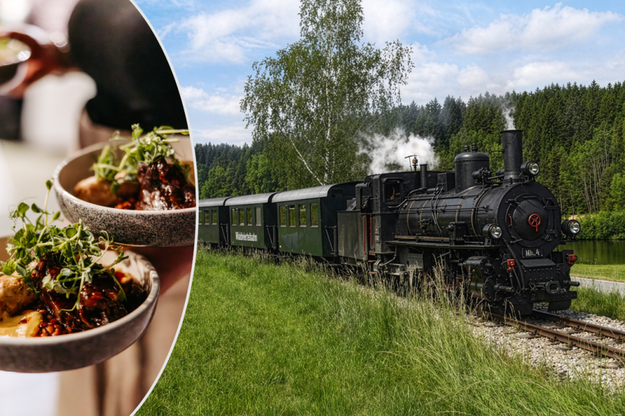 Dampflokomotive mit zwei gr&uuml;nen Waggons f&auml;hrt auf Gleisen durch eine gr&uuml;ne Landschaft mit Wald und Teich im Hintergrund. Daneben sieht man ein k&ouml;stliches Gericht