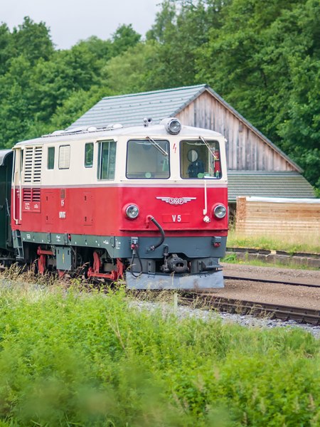 Der Dieselnostalgiezug der Waldviertelbahn fährt an einer saftigen, grünen Wiese vorbei