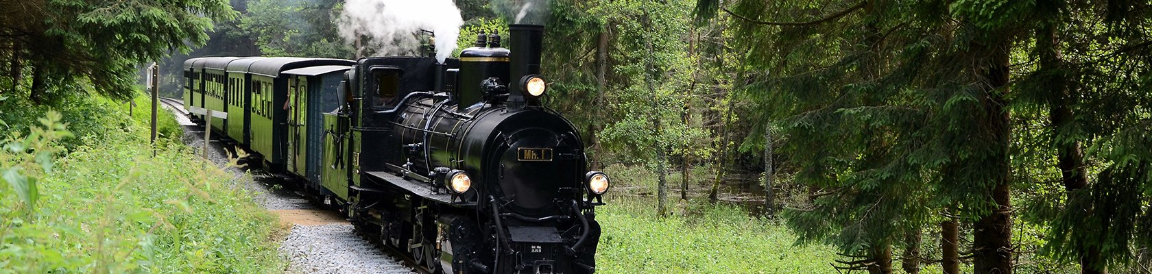 Mit der Waldviertelbahn durch tiefe Wälder, © NÖVOG/knipserl.at