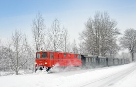 Roter Zug fährt durch verschneite Landschaft mit kahlen Bäumen.